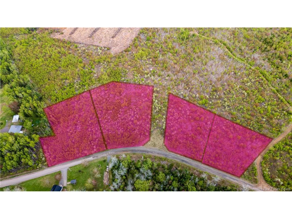 









LOT 40


Davidson

RD,
Anagance,







NB
E4Z 1E1

