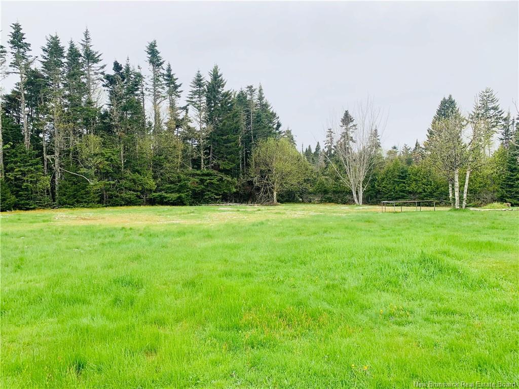 









23


Minnie

RD,
Pennfield,




NB
E5H 2B1


