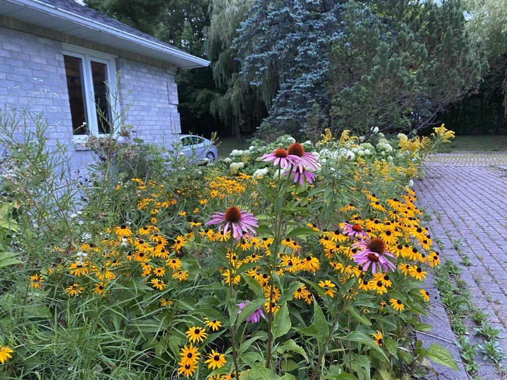 









32


Ch. Wallace

,
Chelsea,




QC
J9B1M6

