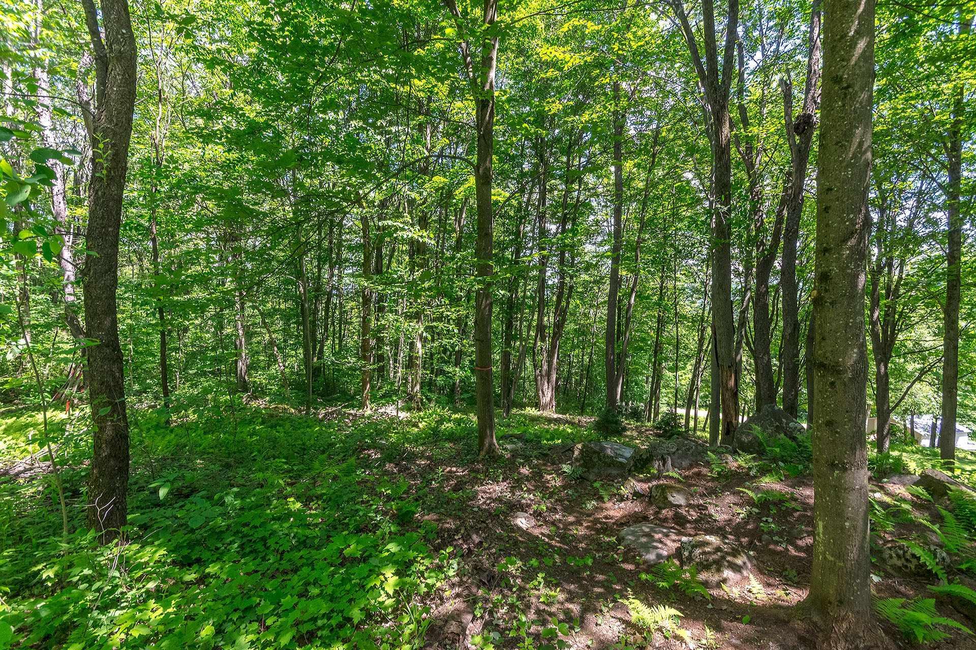 












Ch. Holmes

,
Sutton,







QC
J0E2K0

