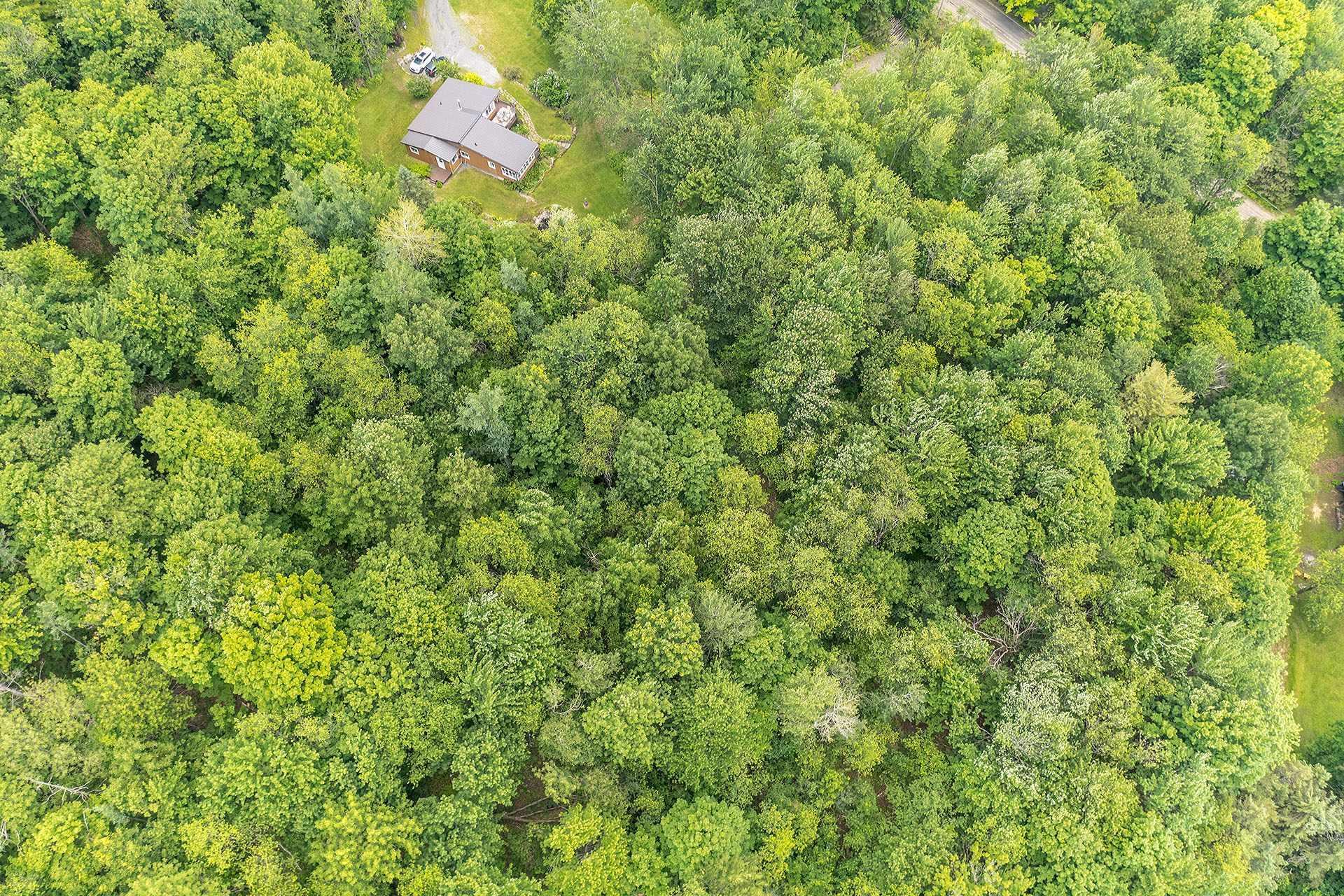 












Ch. Holmes

,
Sutton,







QC
J0E2K0

