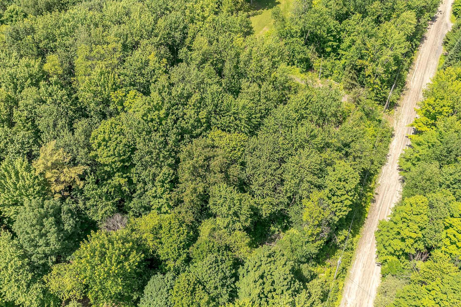 












Ch. Holmes

,
Sutton,







QC
J0E2K0

