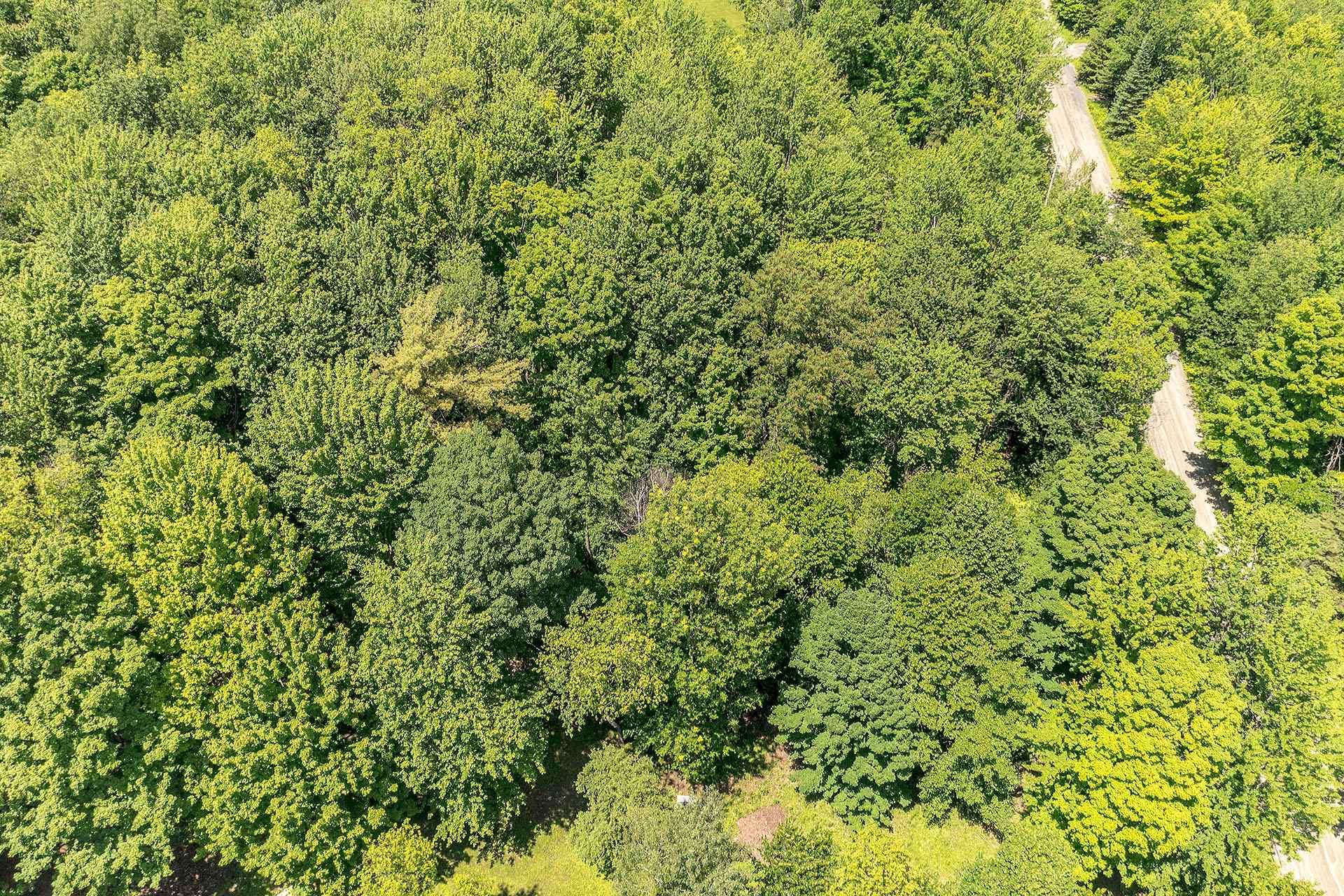 












Ch. Holmes

,
Sutton,







QC
J0E2K0

