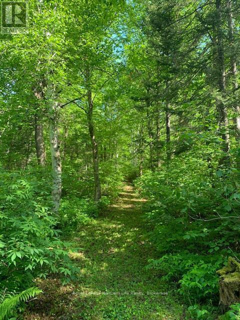 












2254 LAKE TEMAGAMI ISLAND 234 ISLAND

,
Temagami,




Ontario
P0H2H0


