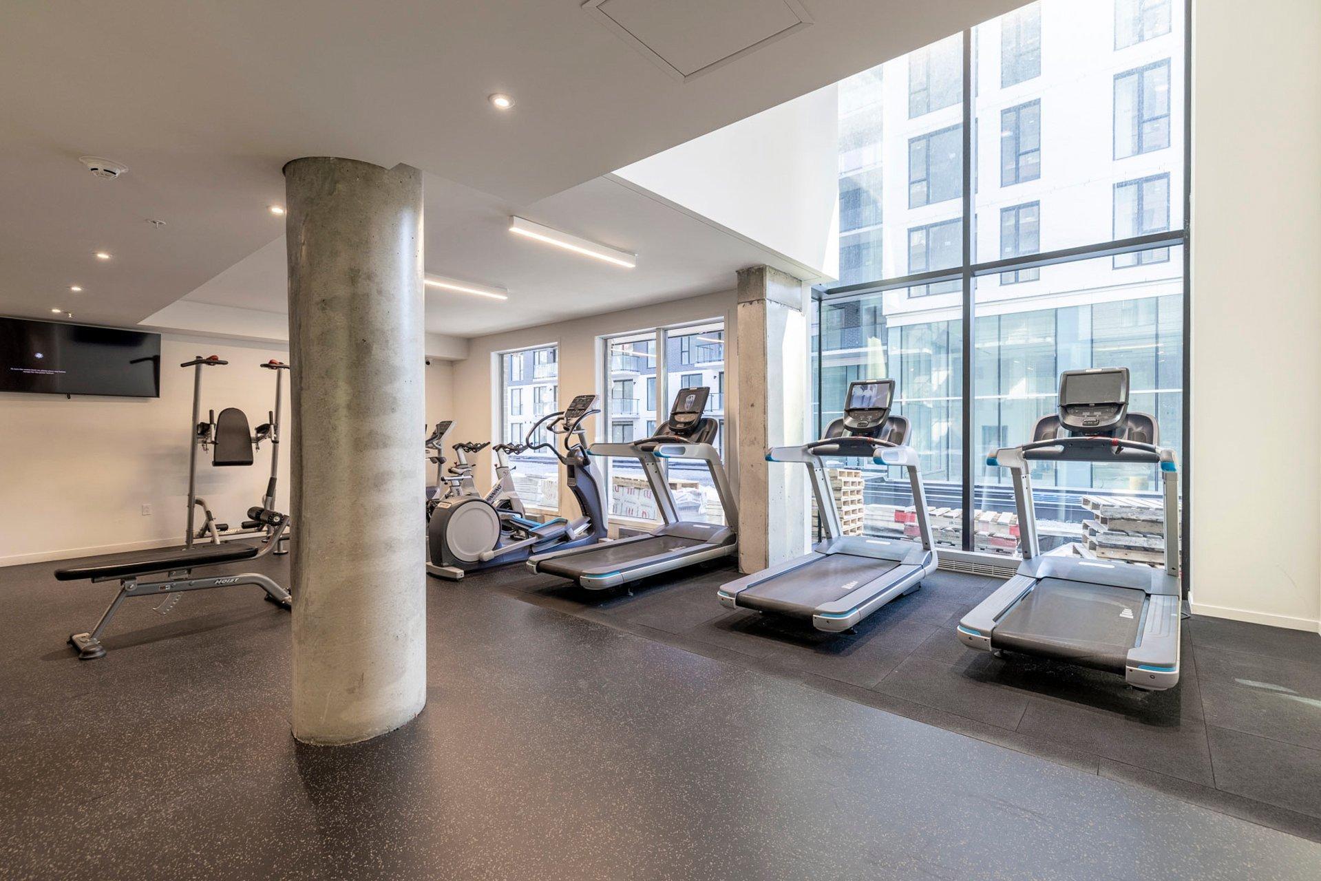 









1485


Rue des Bassins

, 711,
Montréal (Le Sud-Ouest),




QC
H3C1B7

