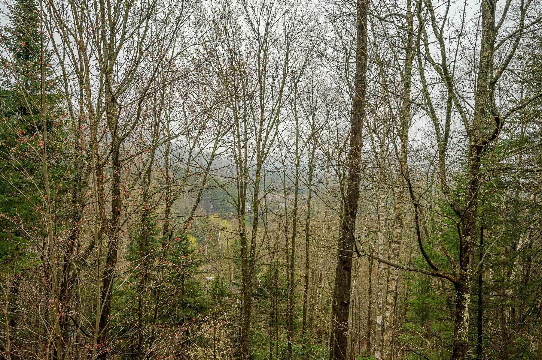 









49


Ch. de la Petite-Suisse

,
Morin-Heights,




QC
J0R1H0

