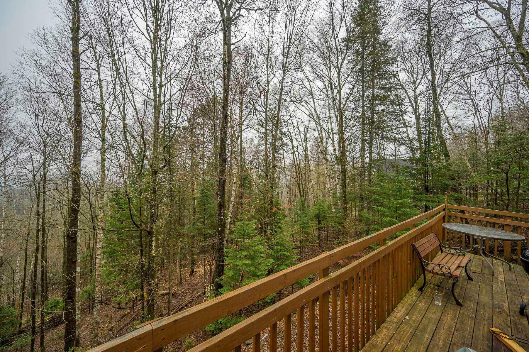 









49


Ch. de la Petite-Suisse

,
Morin-Heights,




QC
J0R1H0

