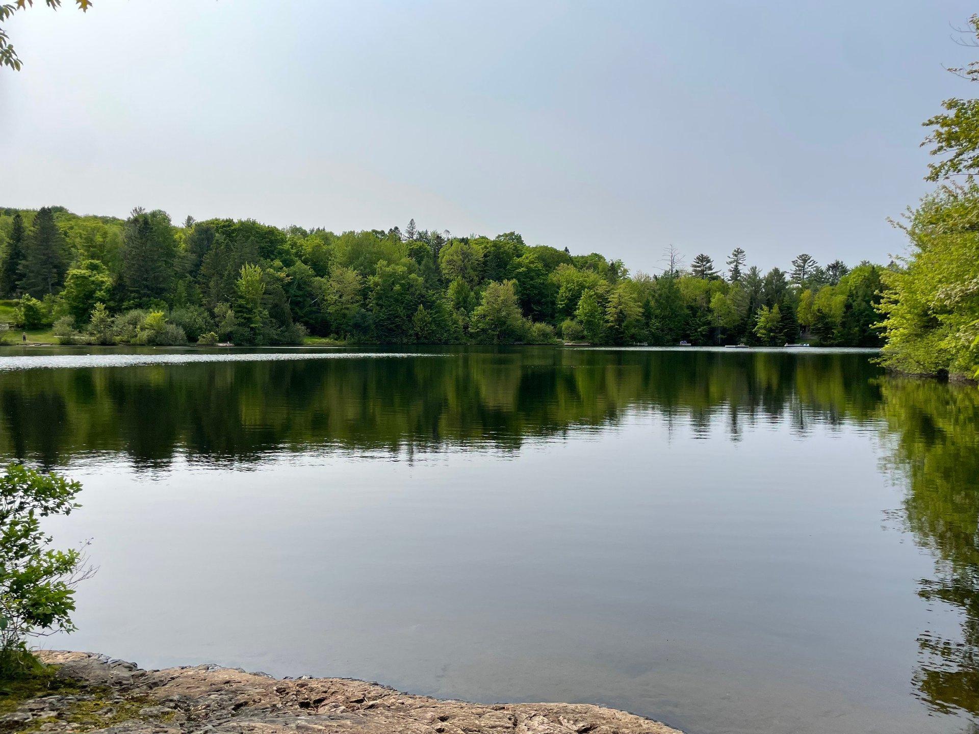 









26


Ch. des Épinettes

,
Sainte-Anne-des-Lacs,




QC
J0R1B0

