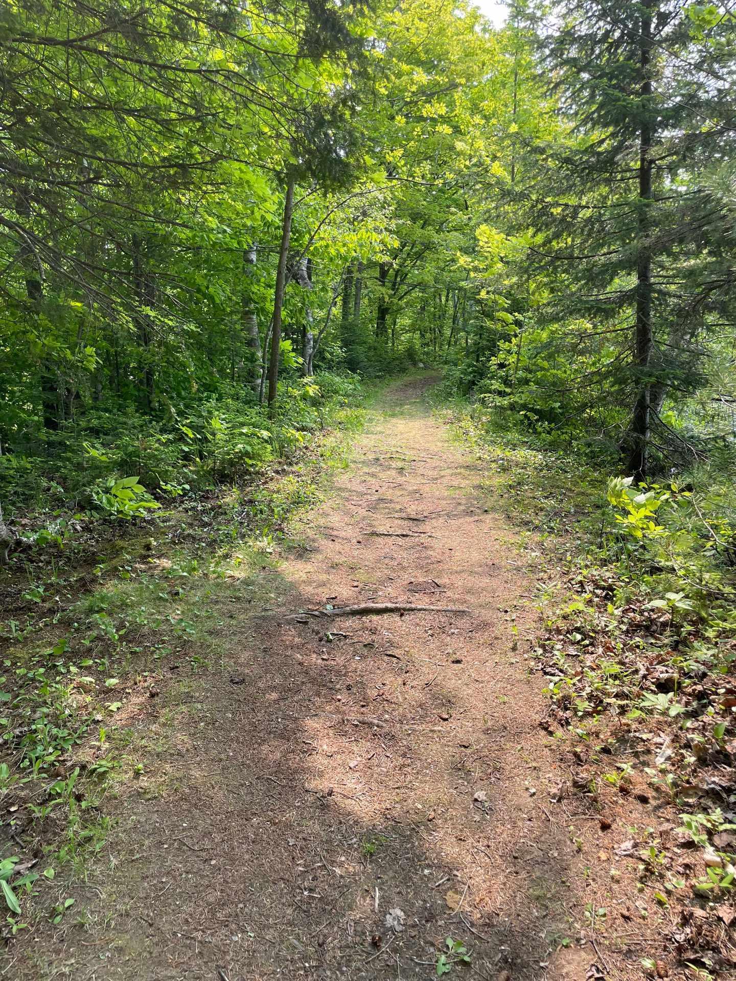 









26


Ch. des Épinettes

,
Sainte-Anne-des-Lacs,




QC
J0R1B0

