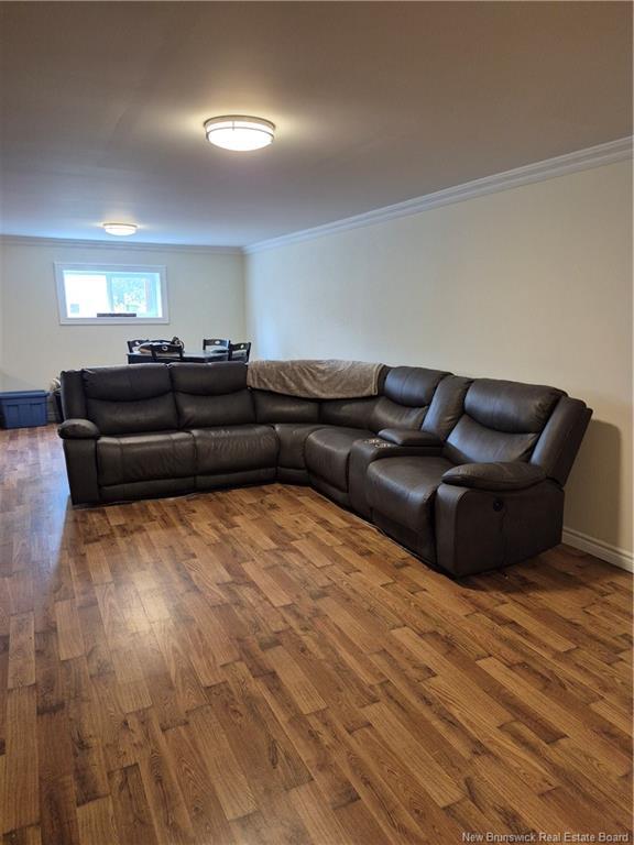 









2199


Des Erables

ST,
Tracadie,




NB
E1X 1C3

