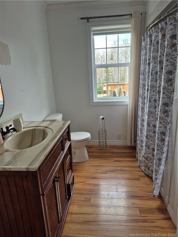 









2199


Des Erables

ST,
Tracadie,




NB
E1X 1C3

