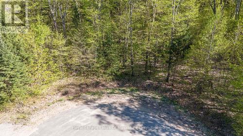 Easy access off a year round road