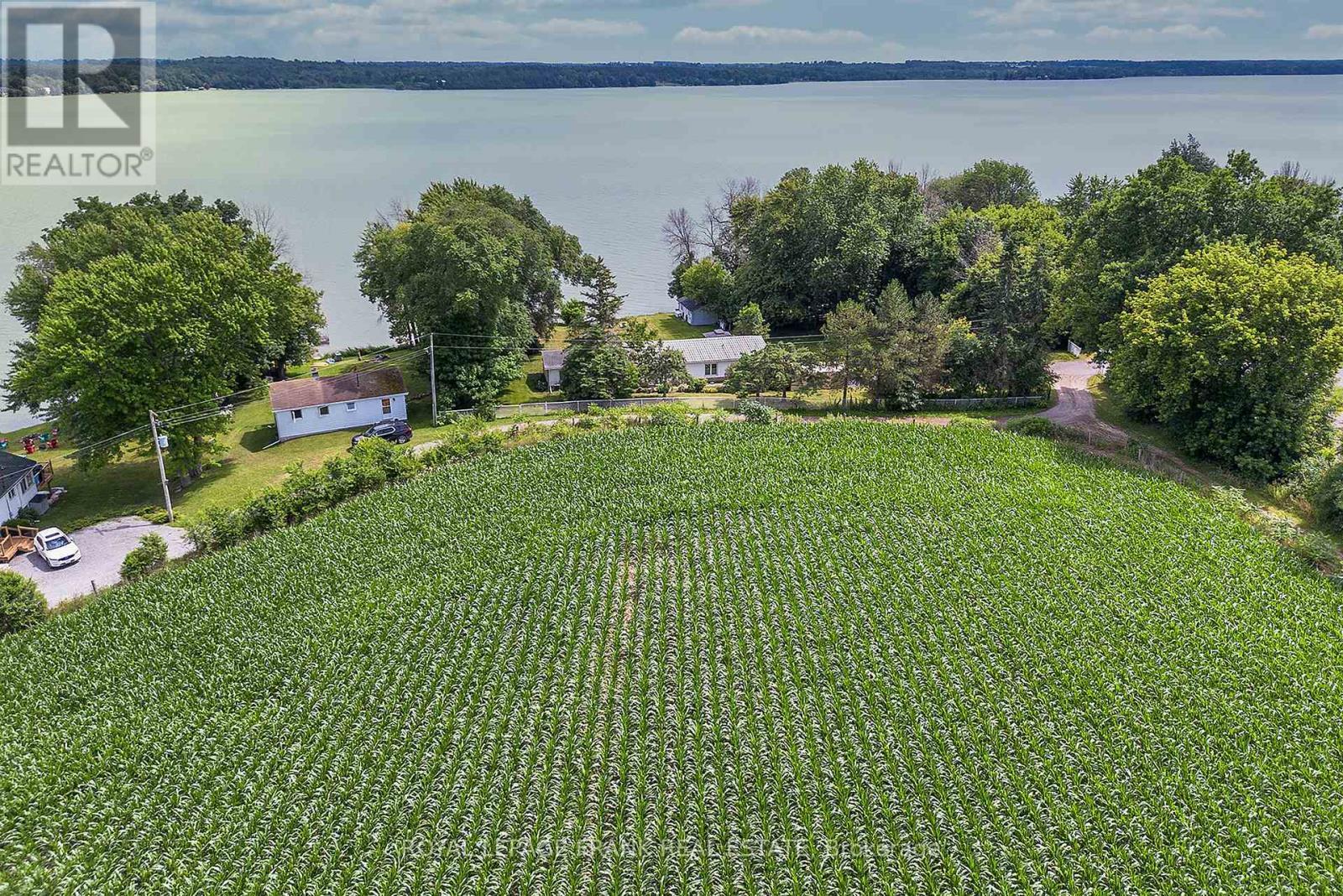 












46 LAKEVIEW BOULEVARD

,
Kawartha Lakes (Little Britain),




Ontario
K0M2C0

