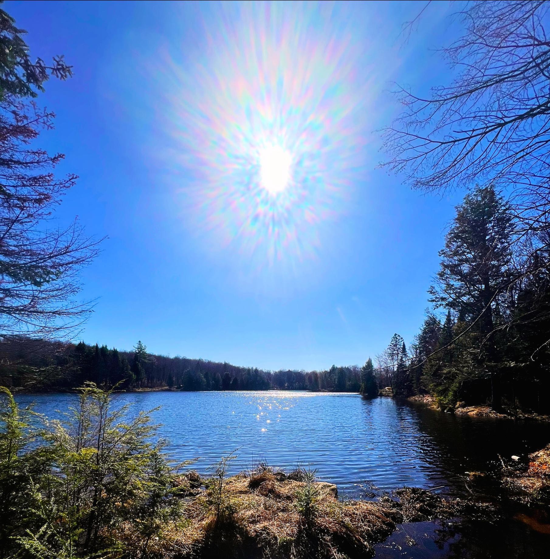 












Ch. des Vallons

,
Brownsburg-Chatham,







QC
J3G3C6

