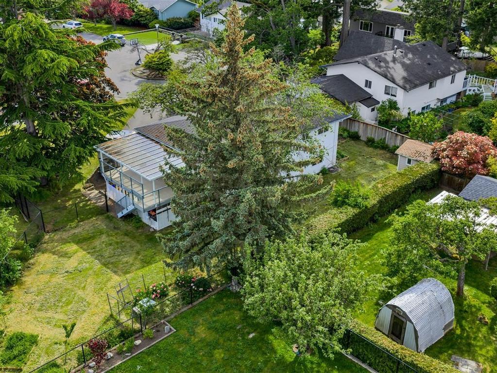 









1616


Sarita

Pl,
Saanich,




BC
V8N 3J4

