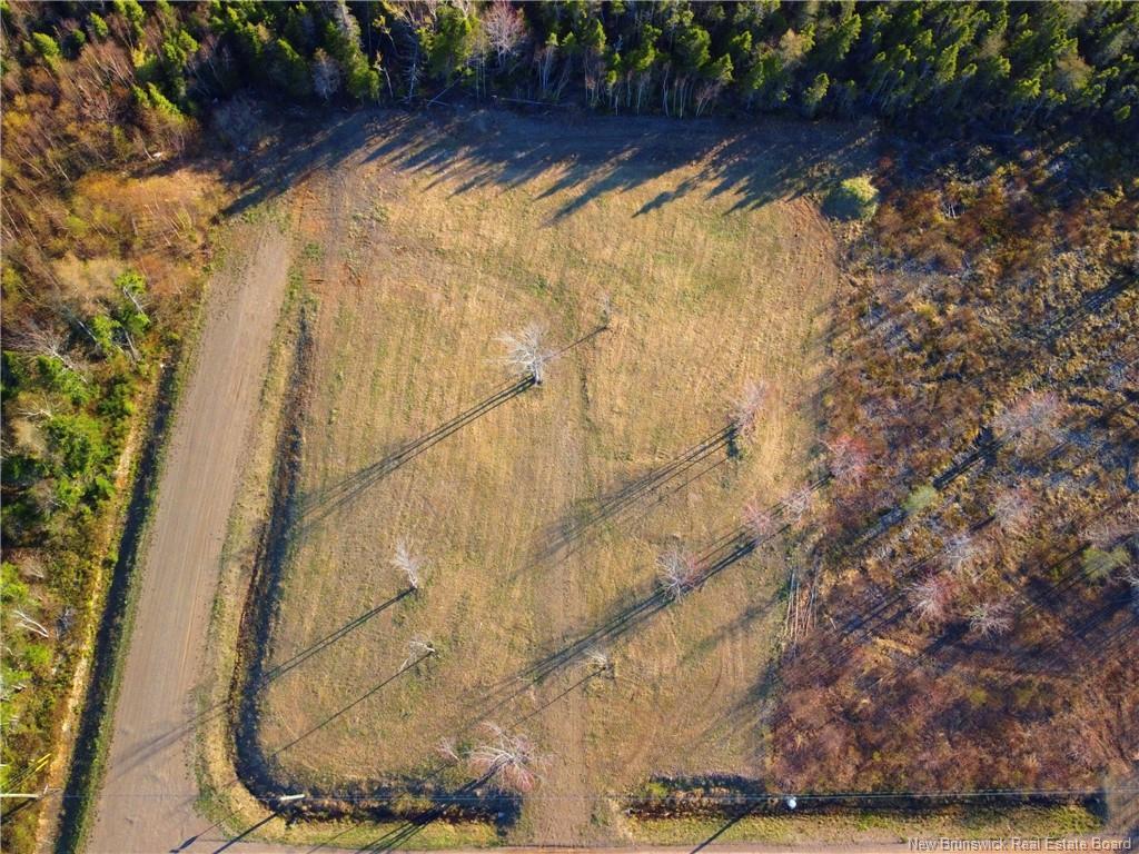 









Lot 2020-16


Audrey

ST,
Tracadie,







NB
E1X 0L9

