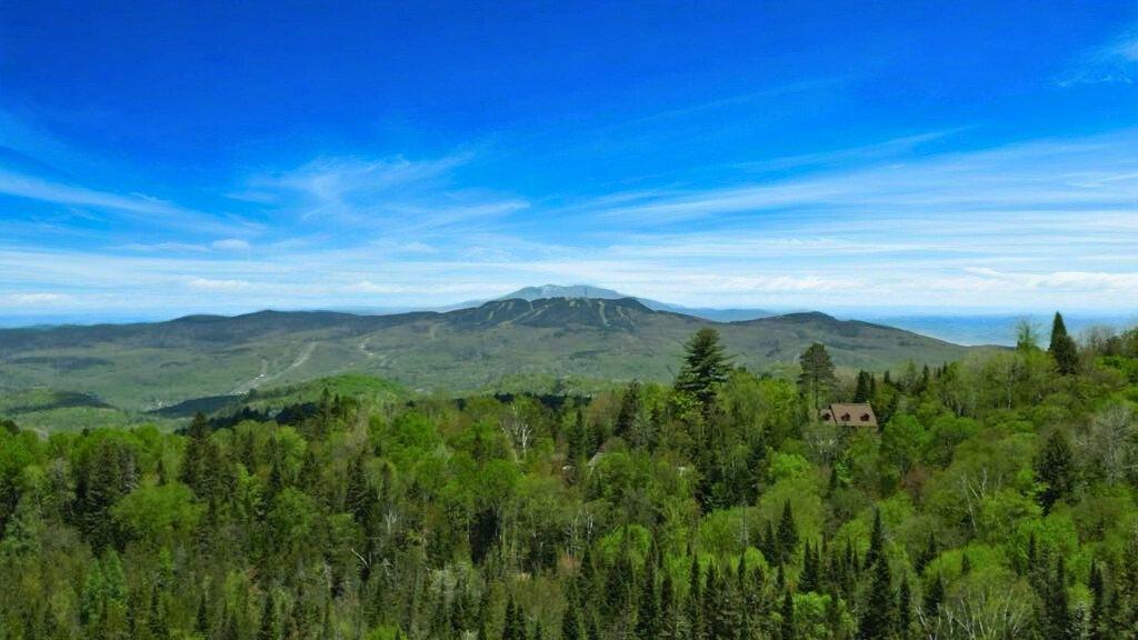 









60


Ch. de Valberg

,
Mont-Tremblant,




QC
J8E0S4

