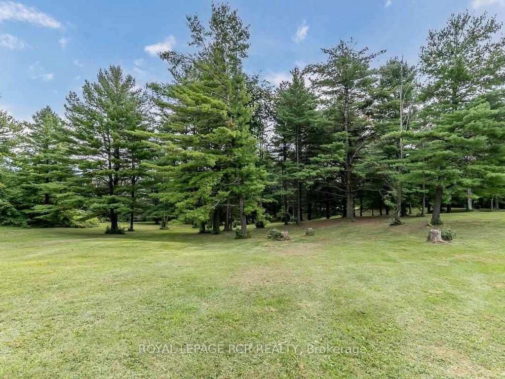 









16365


Bathurst

Street,
Newmarket,




ON
L3X 1Z8

