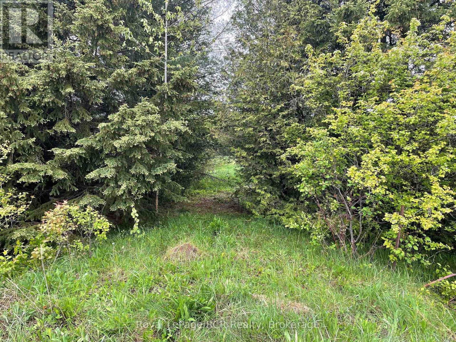 












N/A ROAD 170

,
Grey Highlands,







Ontario
N0C1L0

