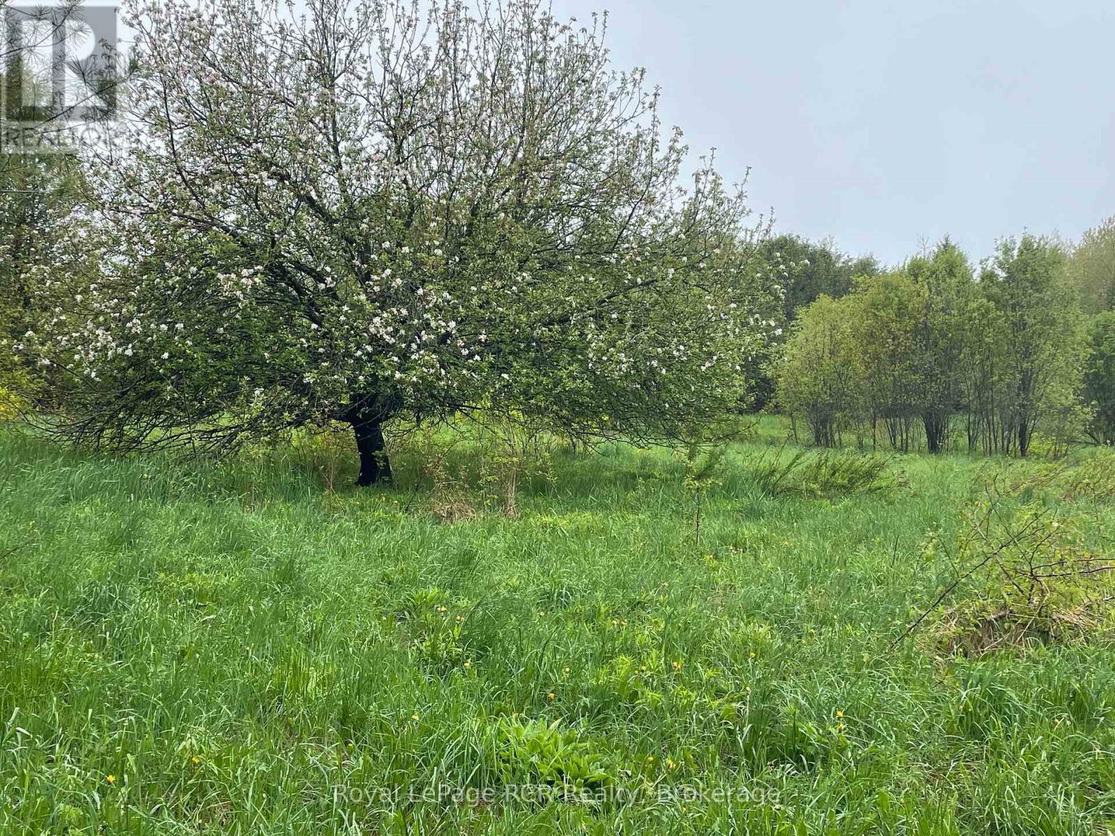 












N/A ROAD 170

,
Grey Highlands,







Ontario
N0C1L0

