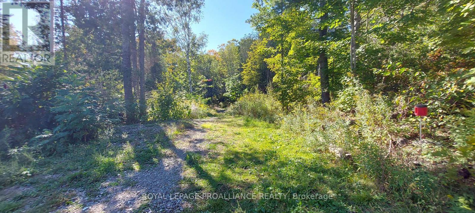 












812 CLEVELAND ROAD

,
Tudor and Cashel (Tudor Ward),




Ontario
K0K1Y0

