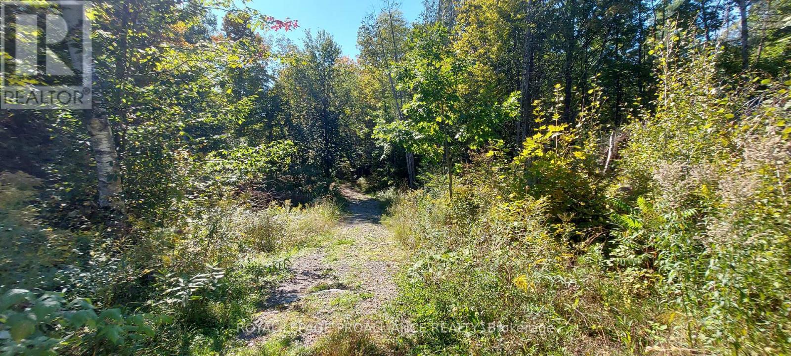 












812 CLEVELAND ROAD

,
Tudor and Cashel (Tudor Ward),




Ontario
K0K1Y0

