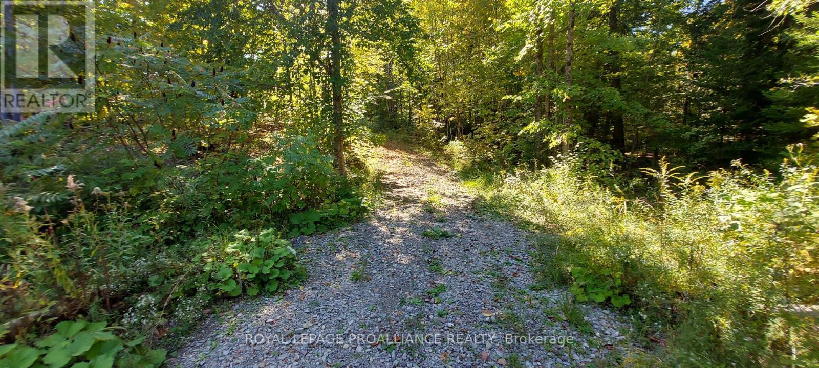 












812 CLEVELAND ROAD

,
Tudor and Cashel (Tudor Ward),




Ontario
K0K1Y0

