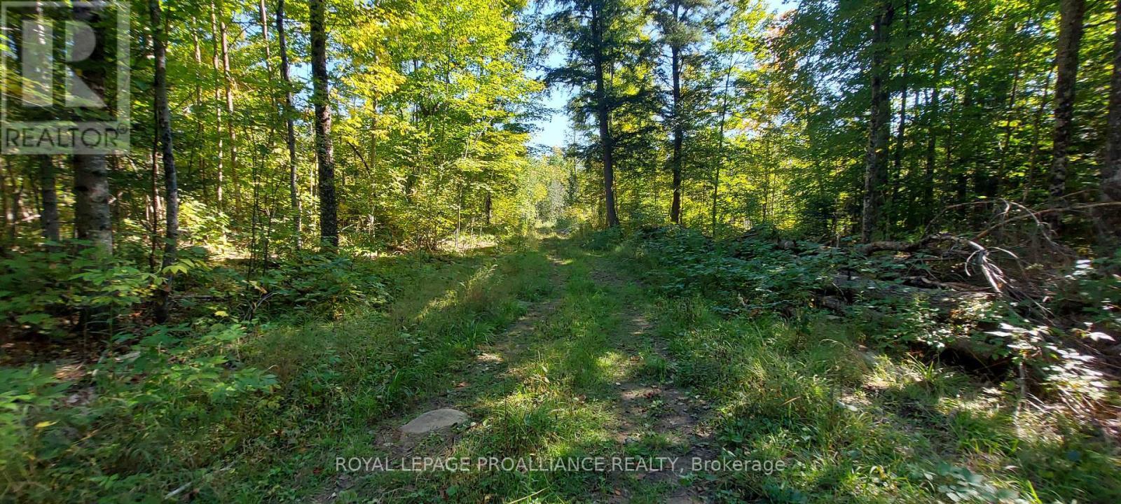 












812 CLEVELAND ROAD

,
Tudor and Cashel (Tudor Ward),




Ontario
K0K1Y0

