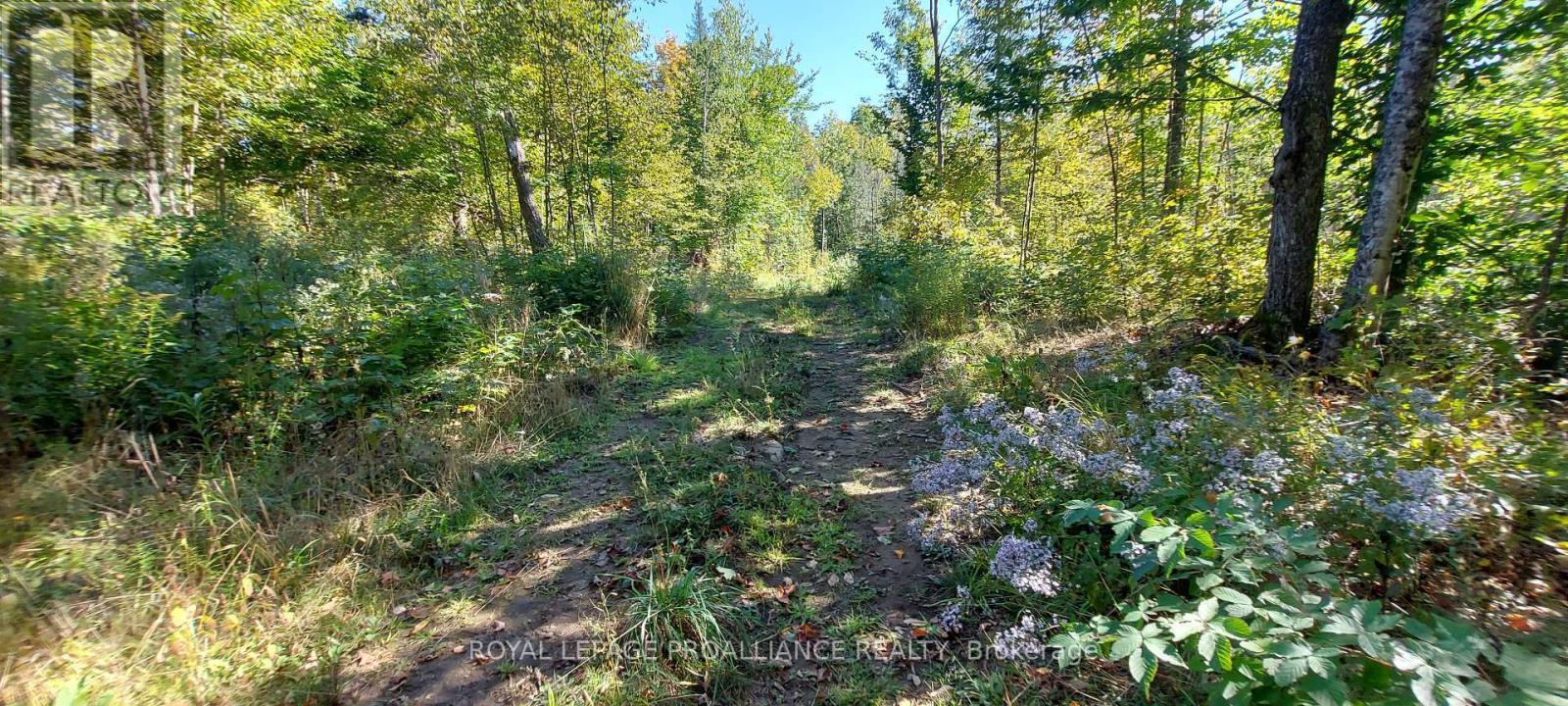 












812 CLEVELAND ROAD

,
Tudor and Cashel (Tudor Ward),




Ontario
K0K1Y0


