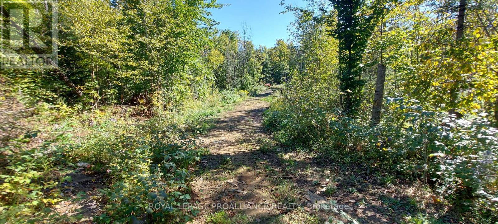 












812 CLEVELAND ROAD

,
Tudor and Cashel (Tudor Ward),




Ontario
K0K1Y0

