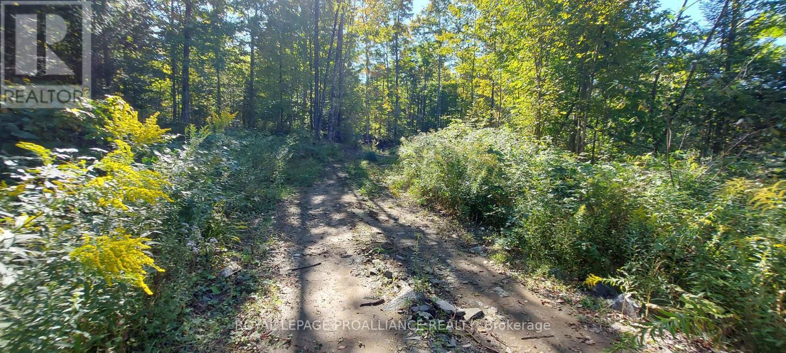 












812 CLEVELAND ROAD

,
Tudor and Cashel (Tudor Ward),




Ontario
K0K1Y0


