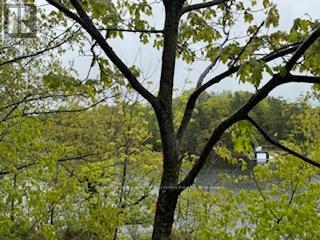 












N/A SUNSET BAY ROAD

,
Gravenhurst (Wood (Gravenhurst)),







Ontario
P1P1R2

