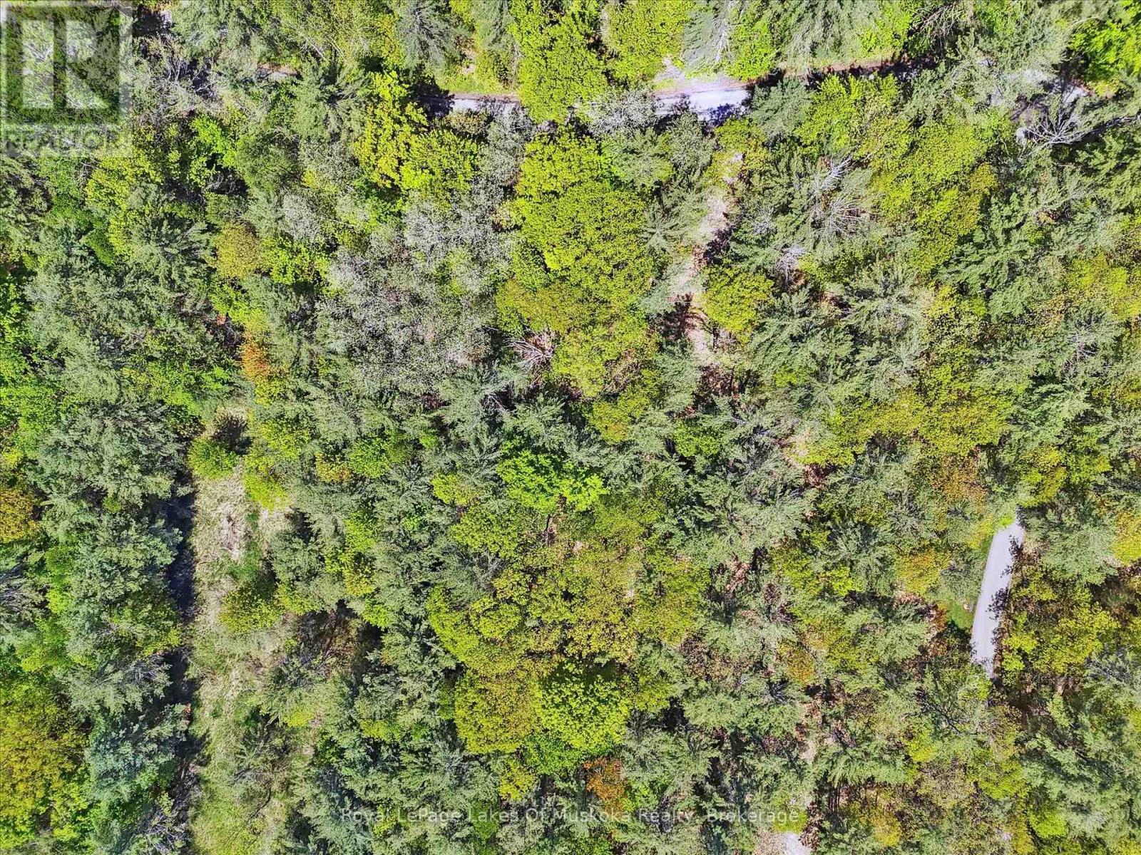 












N/A SUNSET BAY ROAD

,
Gravenhurst (Wood (Gravenhurst)),







Ontario
P1P1R2


