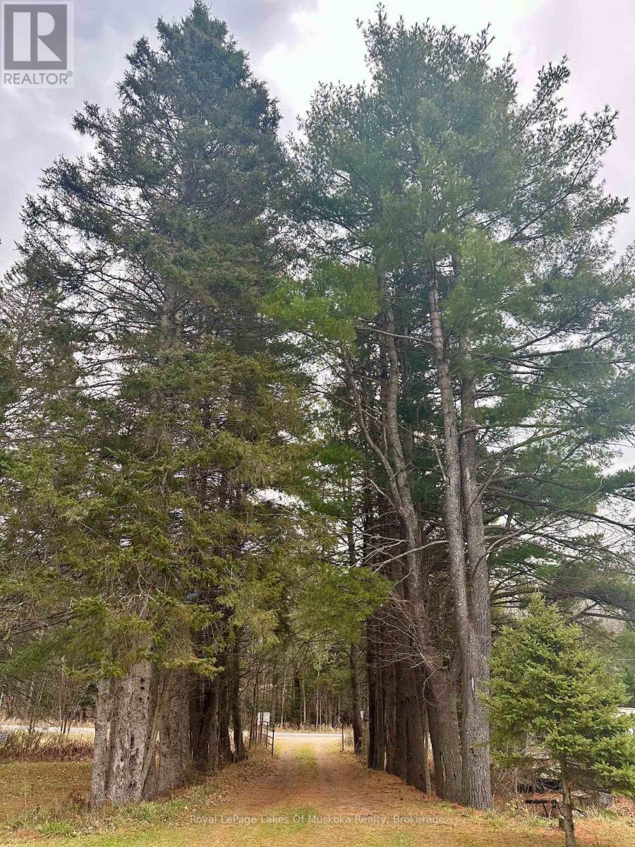 












112 510 HIGHWAY

,
Magnetawan,




Ontario
P0A1P0

