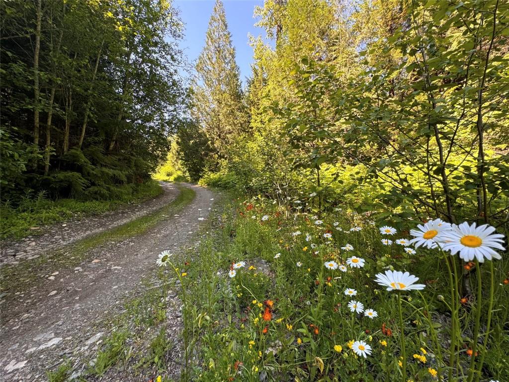 









2410


Trinity Valley

Road,
Enderby,




BC
V0E 1V5

