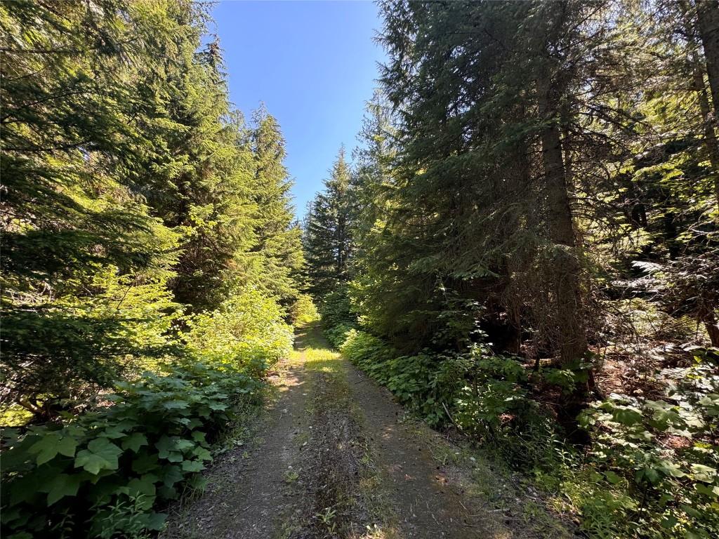 









2410


Trinity Valley

Road,
Enderby,




BC
V0E 1V5

