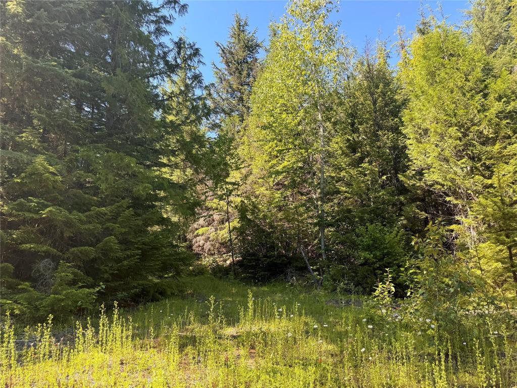 









2410


Trinity Valley

Road,
Enderby,




BC
V0E 1V5


