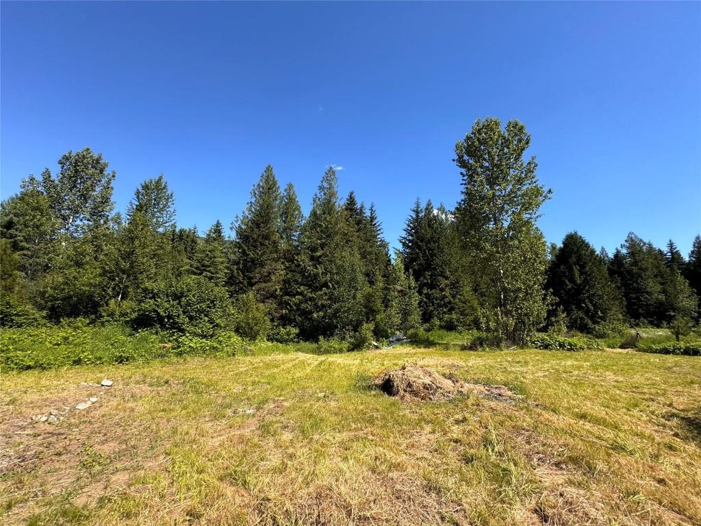 









2410


Trinity Valley

Road,
Enderby,




BC
V0E 1V5

