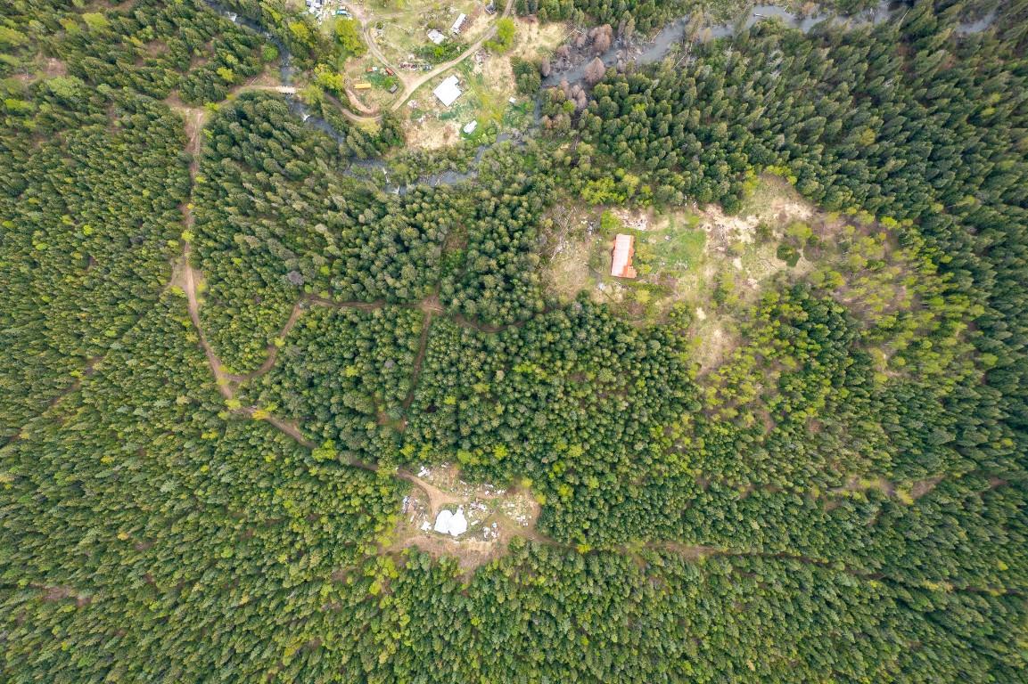 









2410


Trinity Valley

Road,
Enderby,




BC
V0E 1V5

