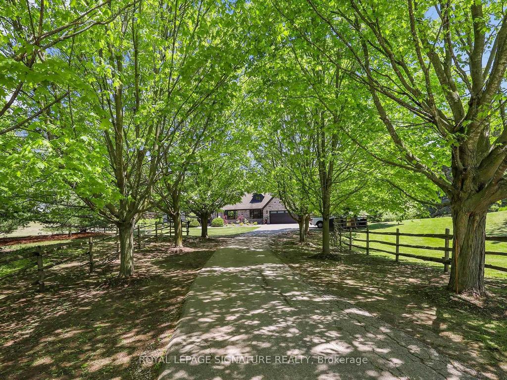 









16455


11th Concession

N/A,
King,




ON
L0G 1T0

