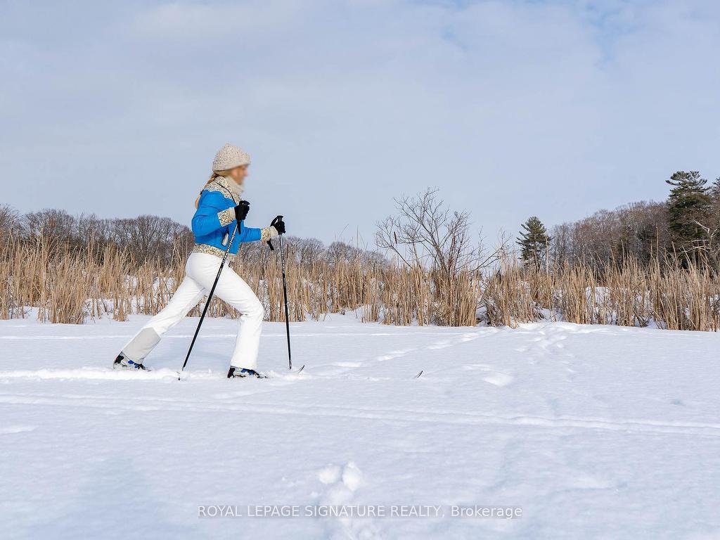 









318


Island

Road,
Prince Edward County,




ON
K0K 2T0

