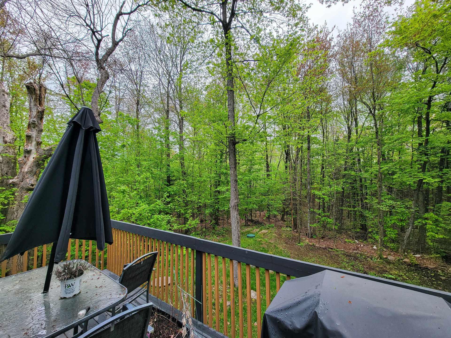 









34


Rue Champêtre

,
Saint-Hippolyte,




QC
J8A3R3

