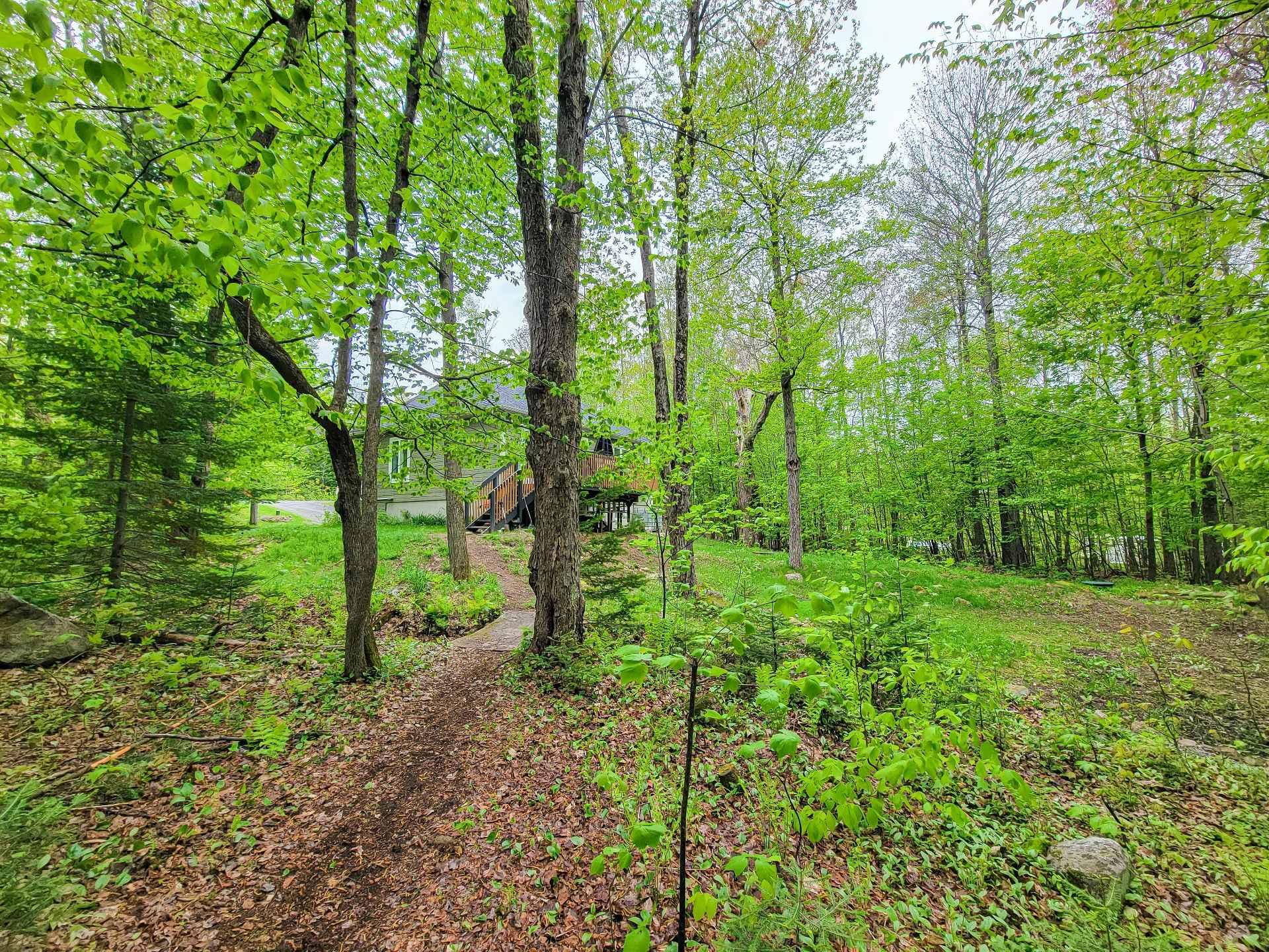 









34


Rue Champêtre

,
Saint-Hippolyte,




QC
J8A3R3

