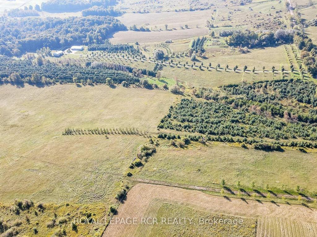 









877281


5th

Line East,
Mulmur,







ON
L9V 0K4

