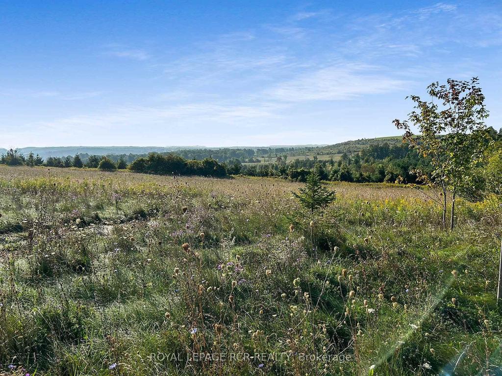 









877281


5th

Line East,
Mulmur,







ON
L9V 0K4

