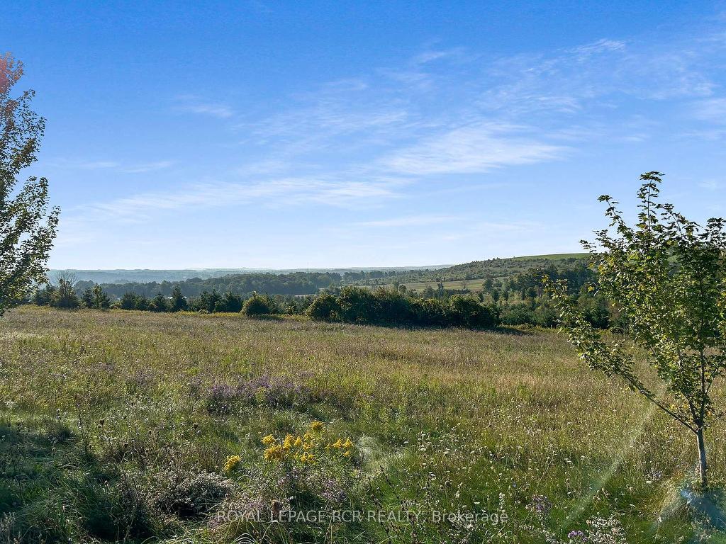









877281


5th

Line East,
Mulmur,







ON
L9V 0K4

