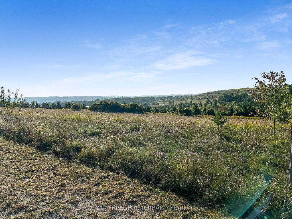 









877281


5th

Line East,
Mulmur,







ON
L9V 0K4

