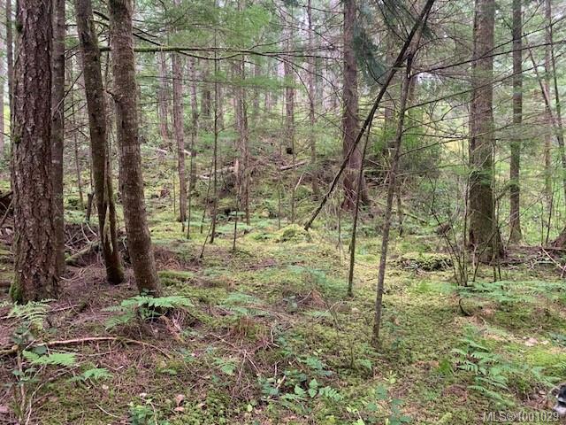 









58


Busby

Island,
Sonora Island,




BC
V0N 3P0

