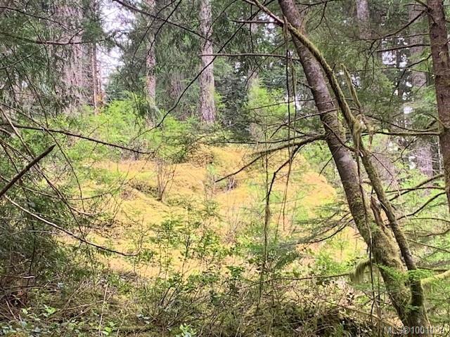 









58


Busby

Island,
Sonora Island,




BC
V0N 3P0

