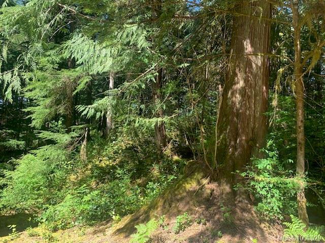 









58


Busby

Island,
Sonora Island,




BC
V0N 3P0

